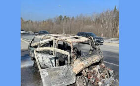 За сутки в Ленобласти ликвидировали последствия девяти ДТП: спасены четыре человека
