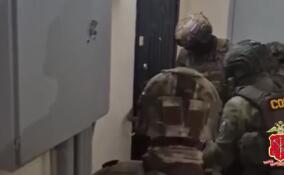 В Петербурге полиция задержала группу наркоплантаторов: изъяты 162 куста конопли