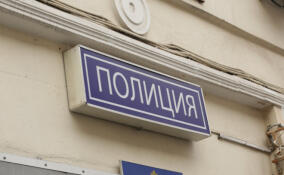 Инспектора ГИБДД из Ломоносовского района обвиняют в превышении должностных полномочий