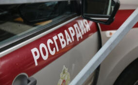 Парень толкнул женщину на остановке в центре Петербурга и попал в отдел полиции