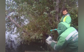 Более 9,3 млн рублей придется выплатить Леноблводоканалу за загрязнение реки Оять