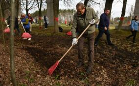 В Ленобласти весенние субботники пройдут на трех тысячах площадок