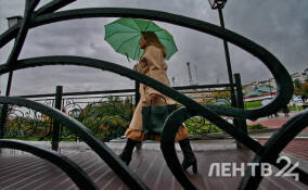 Облачную, сырую и прохладную погоду пообещали жителям Ленобласти 4 апреля