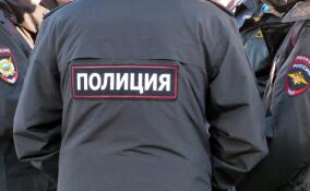 Житель Кингисеппа повредил окно бывшей жены петардой