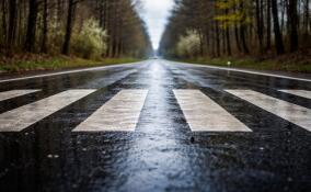 Пешеход погиб под колёсами автомобиля во Всеволожском районе