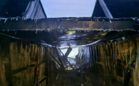 В Сланцевском районе ночью сгорели две машины