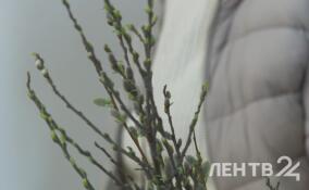 Жители Кудрово освятили ветки вербы в храме Иоанна Богослова