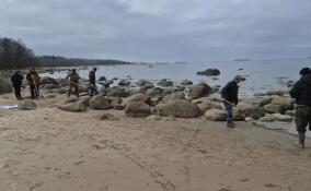 В Кингисеппском районе продолжается ликвидация загрязнения на берегу Финского залива