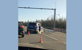 За сутки в Ленобласти в ДТП погибли два человека, трое спасены