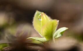 Александр Дрозденко поделился кадрами пробуждающейся природы