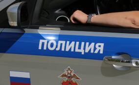 Водитель отечественного авто погиб в ДТП в Гатчинском округе