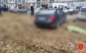 Уголовное дело завели после смертельного ДТП в поселке имени Морозова