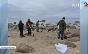 На побережье Финского залива специалисты приступили к ликвидации загрязнения нефтепродуктами