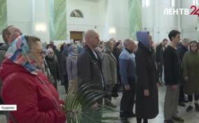 Православные христиане отметили Вербное воскресенье