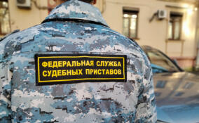 Горе-отец из Ломоносова лишится иномарки из-за долга по алиментам в 330 тыс. рублей