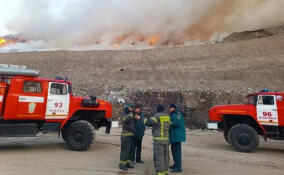 Более 170 пожаров потушили в Ленобласти за неделю