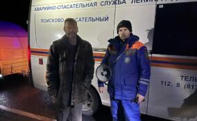 Спасатели нашли потерявшегося в лесу у Семрино мужчину