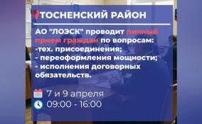 Для жителей Тосненского района проведут приёмы по вопросам электроснабжения
