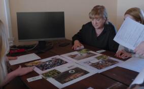 В Ленобласти выпустили настольную игру про работу экологов