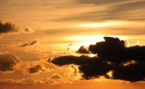 Порывистый ветер и лишь до +6: прогноз погоды в Ленобласти на 8 апреля