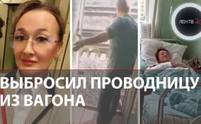 Выбросил проводницу из вагона: зачем пассажир напал на проводницу и начальницу поезда