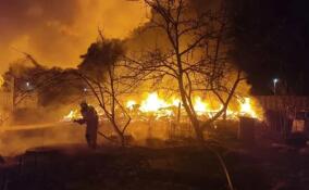 За сутки в Ленобласти огнеборцы потушили восемь пожаров