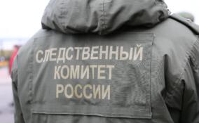 Уголовное дело завели на жителя Луги за угрозы полицейскому