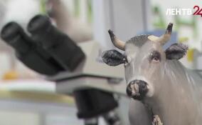 Студенты Всеволожского агропромышленного техникума осваивают мастерство реставрации