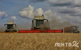 Открыт прием заявок на получение гранта «Ленинградский гектар»