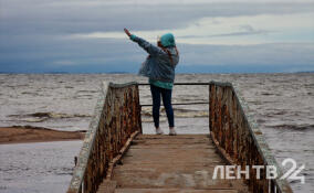 Сухо и солнечно, но лишь до +8: прогноз погоды в Ленобласти на 9 апреля