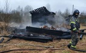 За сутки в Ленобласти потушили 24 пожара: погиб один человек, еще трое спасены