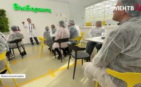 От салата до палеонтологии: Ленобласть презентовала маршруты агро- и научного туризма