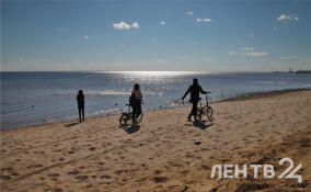 До -9 ночью и до +10 днем: прогноз погоды в Ленобласти на 10 апреля