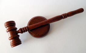 Жителя Тосненского района приговорили к девяти годам за убийство и грабеж