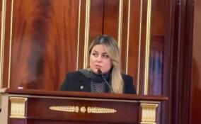 Глава госэконадзора Рамила Агаева рассказала о ситуации в Ульяновке
