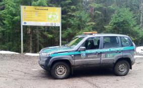 В заказниках Ленобласти ловили нарушителей на багги и авто