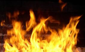 Следователи выясняют обстоятельства гибели мужчины в садоводстве Всеволожского района