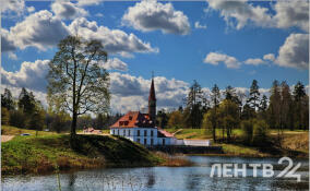 В Ленобласти к 100-летнему юбилею объявили о старте двух конкурсов