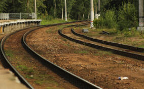 На ж/д станции в Гатчинском районе загорелся тепловоз