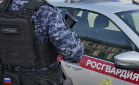 Объявленный в розыск мужчина попался полиции при попытке получить удостоверение охранника