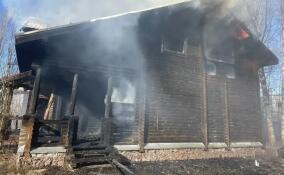 За сутки в Ленобласти ликвидировали 57 пожаров: спасены три человека