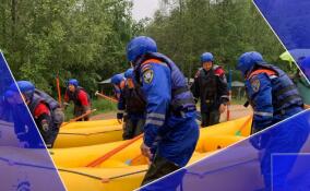 За неделю спасатели Ленобласти 18 раз выезжали на различные вызовы