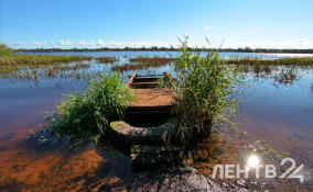 Сухо, солнечно и до +17: прогноз погоды в Ленобласти на 14 апреля
