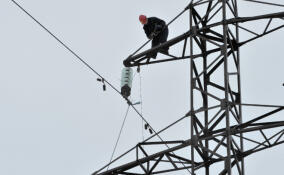 В Ленобласти смонтировали более 20 километров изолированного провода