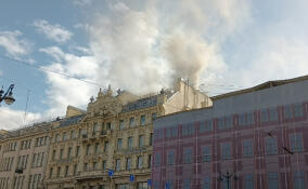 В здании на Невском проспекте полыхает чердак