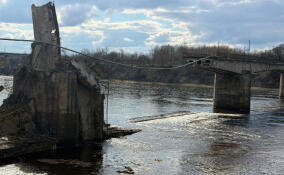 В Волхове рухнул аварийный пешеходный мост