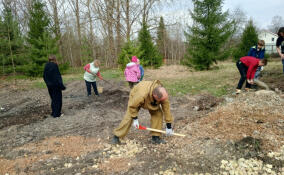 Жители Кобринского поселения вышли на субботники