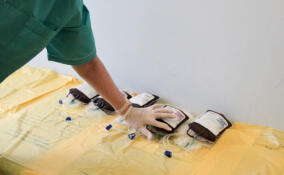 В Петербурге стартовала программа к Национальному дню донора крови