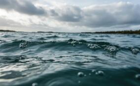 Тело пропавшего 25-летнего мужчины нашли в водоеме в Волосовском районе