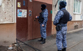 Пятилетний мальчик чуть не упал с балкона в Сестрорецке